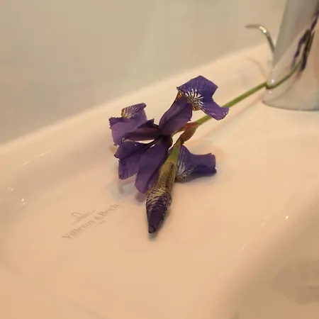 Lägenhet Ostsee Sopot