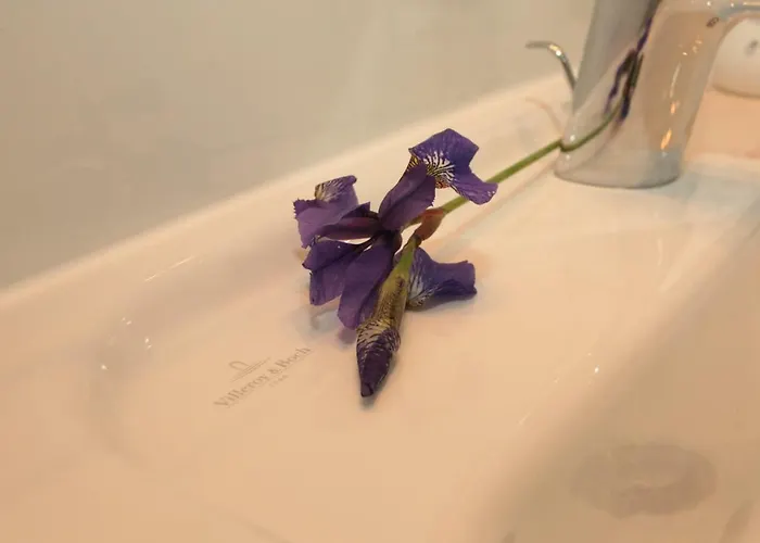 Lägenhet Ostsee Sopot